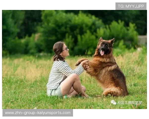 国王训练专题：如何扩大外围命中率成为当务之急