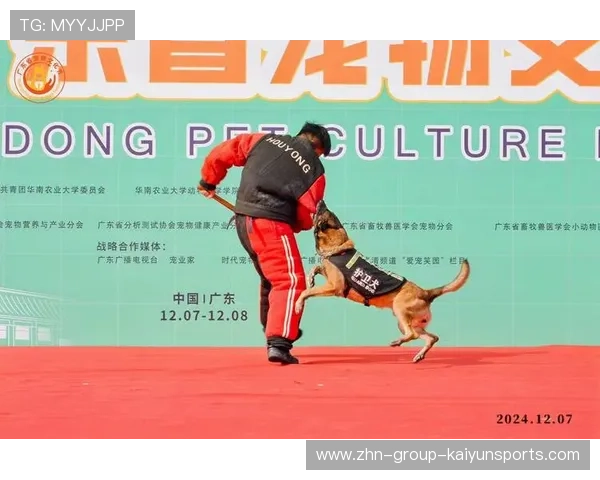 冲浪狗狗与主人同浪,比赛瞬间变萌宠秀 冲浪狗狗与主人同浪,比赛瞬间变萌宠秀